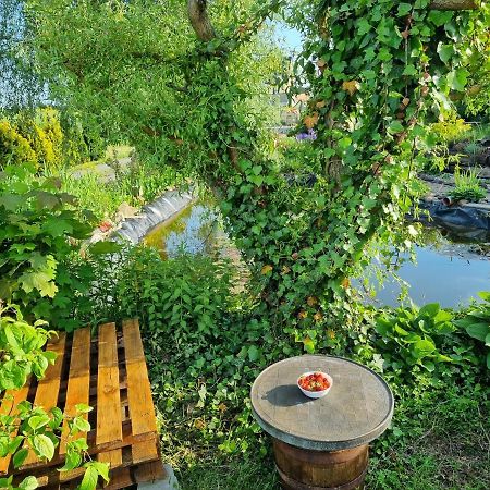 Apartament U Beti Οπόλε Εξωτερικό φωτογραφία